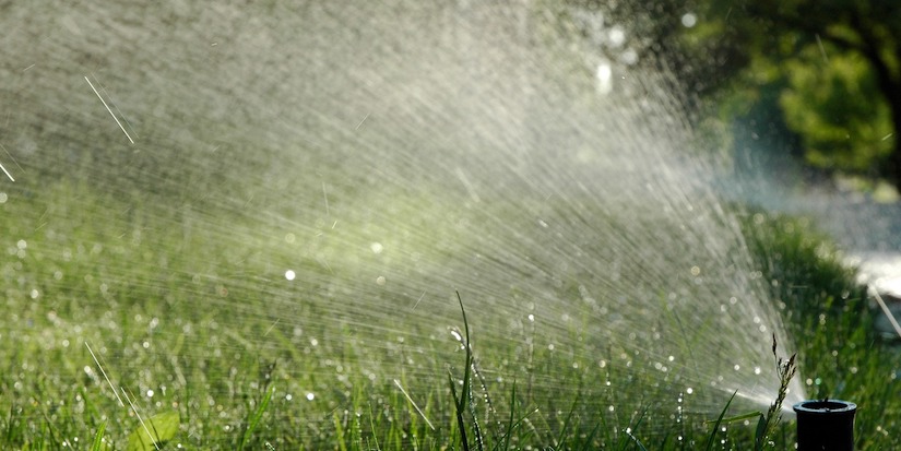 Lawn watering restricted to one day per week in Metro Vancouver starting May 1