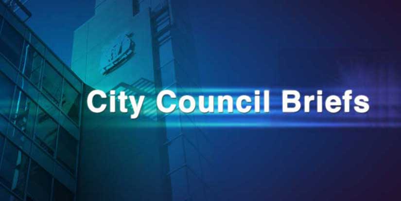 City unveils new council voting system