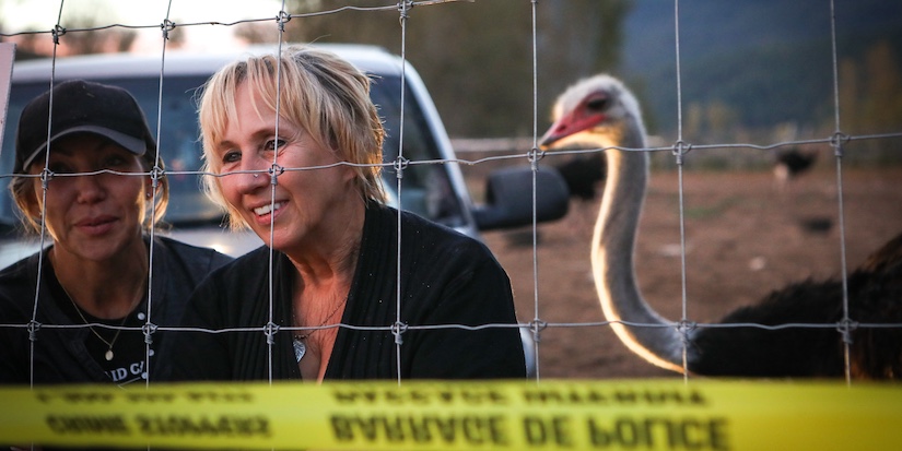Tribunal upholds $10K fine for B.C. ostrich farm over failure to report sick birds