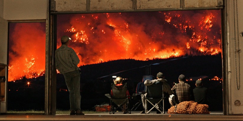 Invasive grasses may pose deadly risk post-wildfire, UBC researcher says