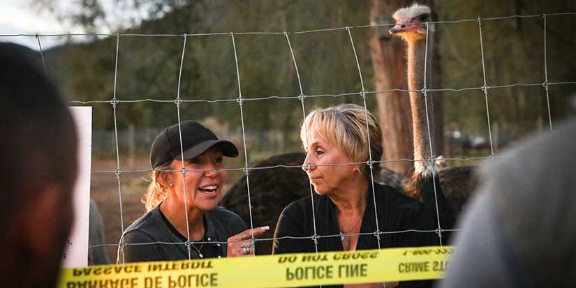 Ostrich farmers awaiting Supreme Court decision get little attention from Ottawa