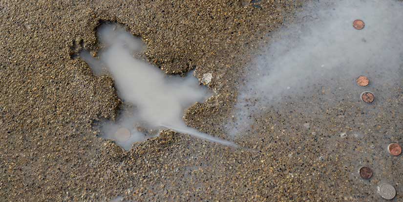 Ah, rats! Researchers say some other critter likely created Chicago's 'rat hole' sidewalk landmark