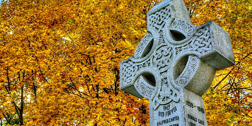 In honour of our soldiers: Horace Lee