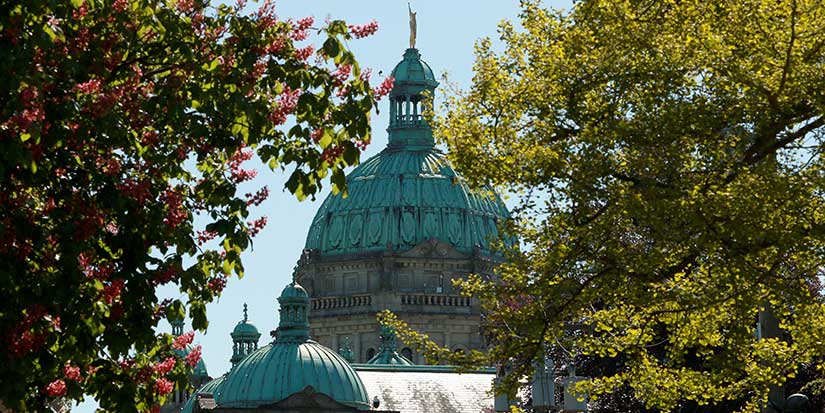 B.C. government experts including engineers, foresters expand strike provincewide