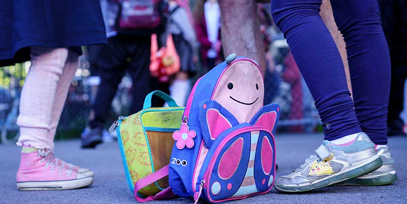 Fact File: No evidence Canadian schools banning pork from lunches