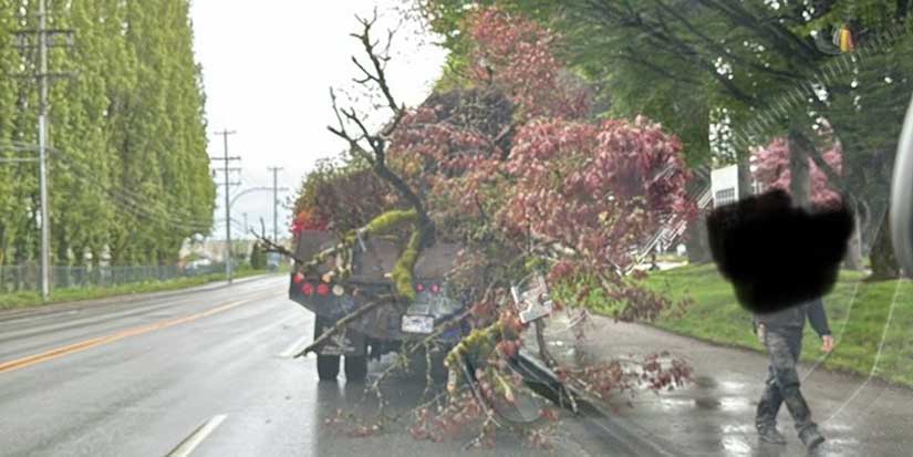 Commercial vehicle stopped with insecure load