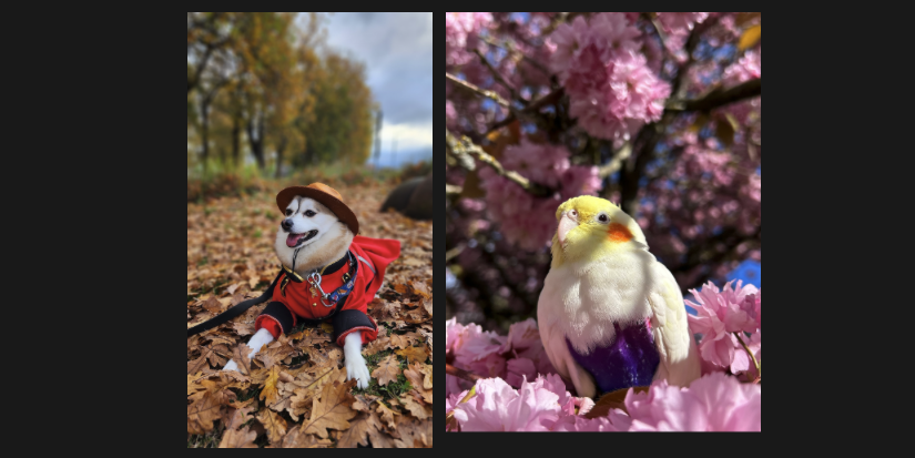 Richmond pets named 2026 Companions for Change calender