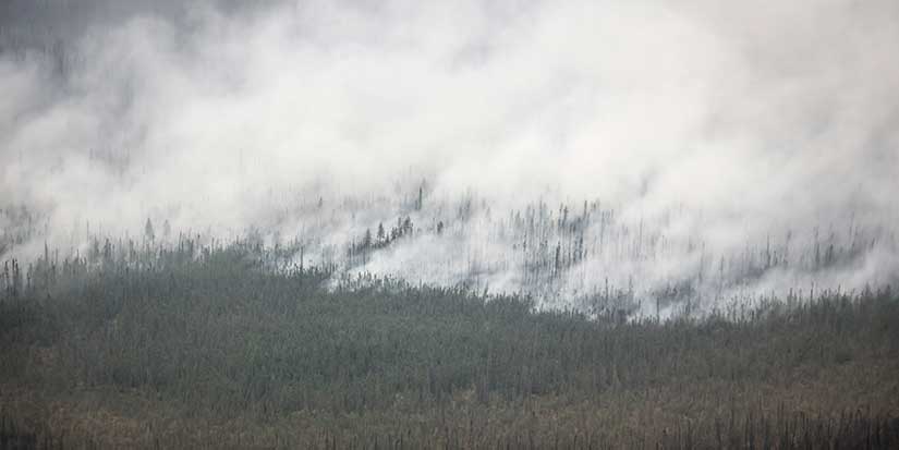 Environment groups calls for swift climate policies ahead of fall Parliament session