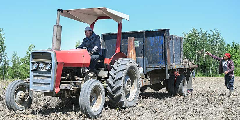 Canadian Chamber of Commerce calls for 'meticulous' temporary worker review