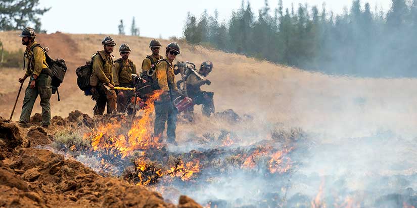 Border Patrol operation at wildfire in Washington state sparks criticism