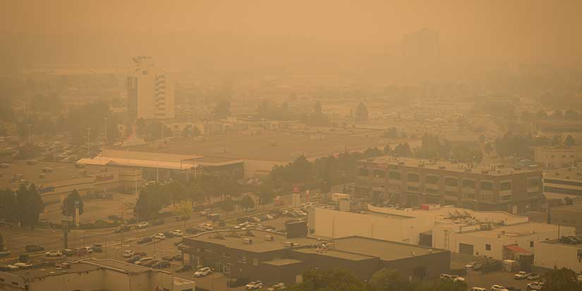 Study estimates 2023 Canadian wildfire smoke caused more than 80,000 deaths globally