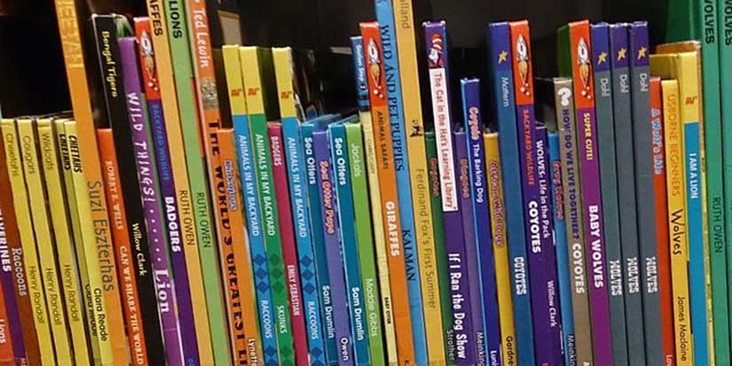 Library’s summer reading program launches