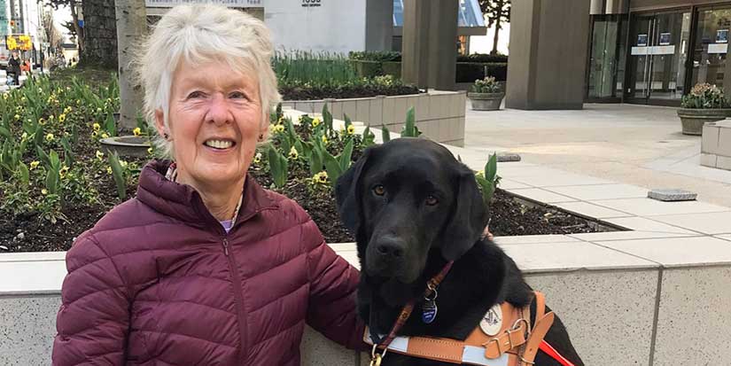 Guide dogs descend on Vancouver for International Guide Dog Day