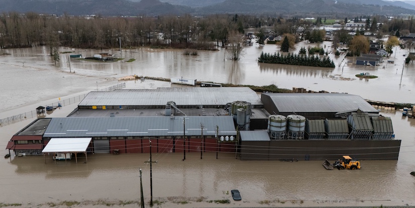 Familiar fate for Abbotsford as floodwaters gush over U.S. border into B.C. again
