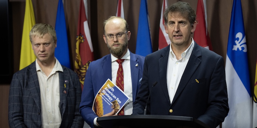 Beekeepers call for import ban on non-North American bees as deadly mite spreads