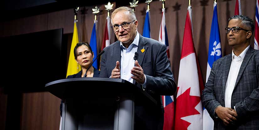 Former MPs launch volunteer effort to renew NDP ahead of leadership race