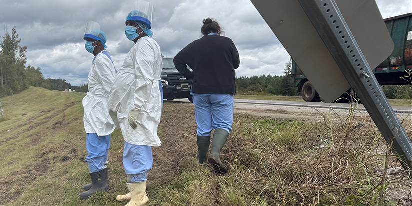3 monkeys still on the loose after truck overturns on Mississippi highway