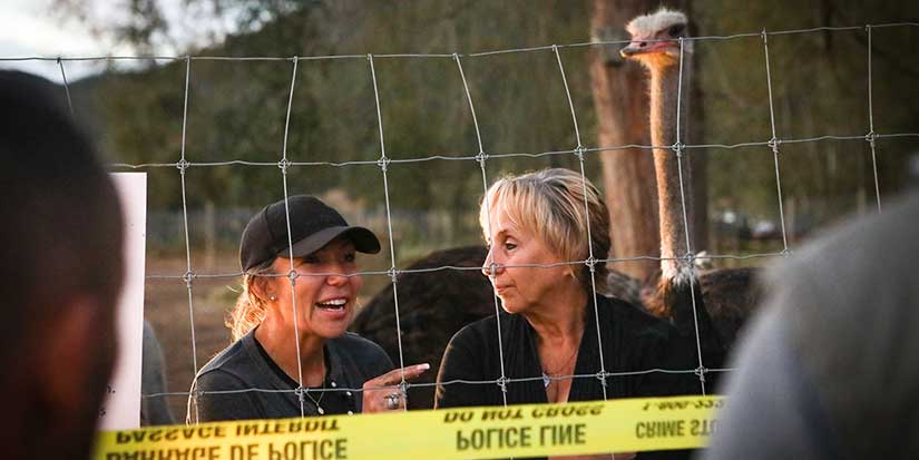 Two people arrested at B.C. Ostrich farm facing cull over avian flu
