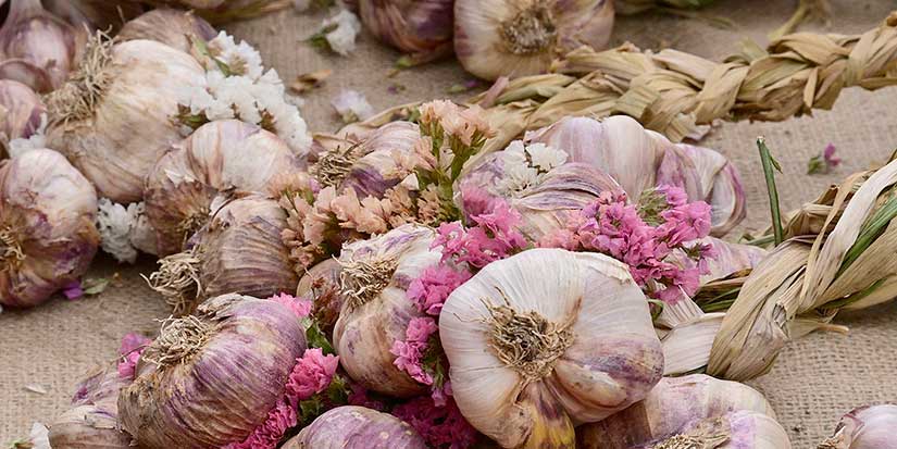 Garlic Festival returns to Richmond