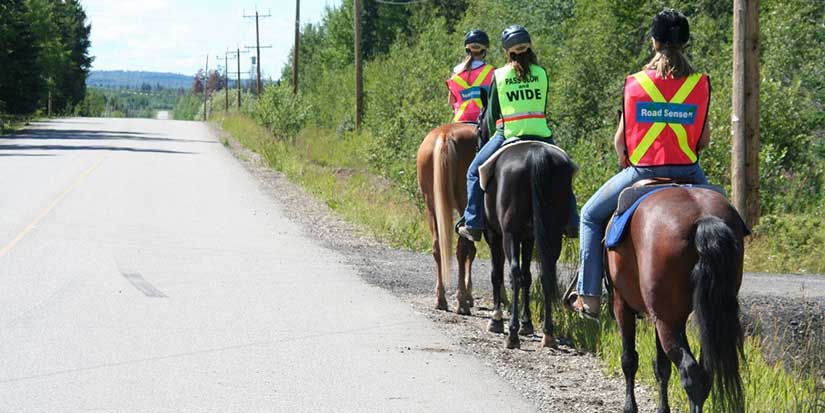 Drivers reminded to expect more horses, riders on roads