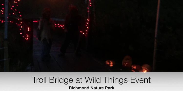 Wild Things Troll Bridge
